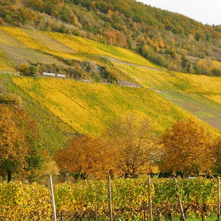 Angelica Appartamento *