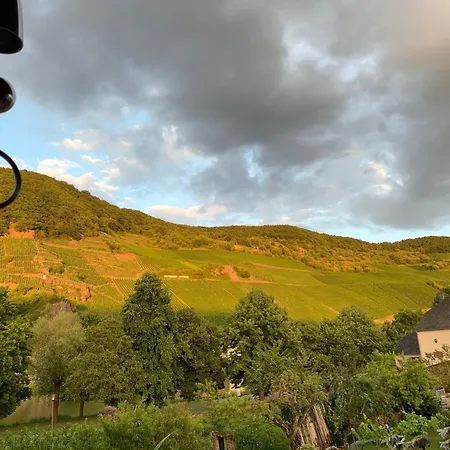 Angelica * Trittenheim