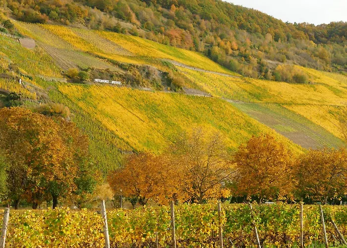 Angelica Apartment *