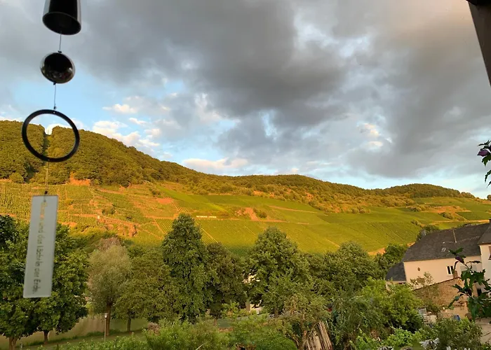 Angelica * Trittenheim